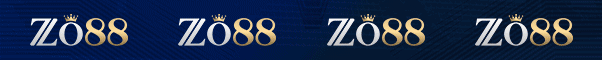 Banner Footer ZO88