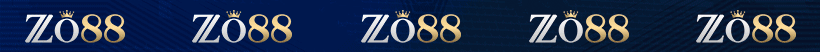 Banner Footer ZO88